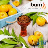 Табак Burn Juicy Apricot (Сочный Абрикос) 25г Акцизный